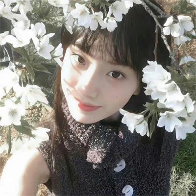阴山守陵人